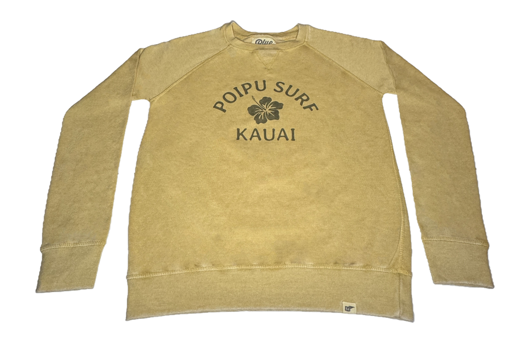 Poipu Surf 